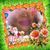 Joanne Maxwell's profile image