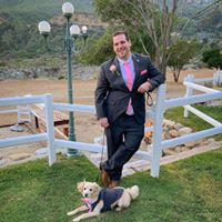 Andrew Segal's profile image
