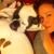 Lindsay Gallihugh's profile image