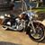 Duane Pedrioli's profile image