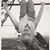 Debbie Anderson-Gaiser's profile image