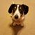 Debbie Brockman's profile image