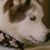 Linda Vogel-Dawson's profile image