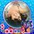 Julie Szabo-Clarke's profile image