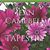 Jean Ruth Campbell's profile image