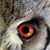Wayne Zeides's profile image