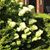 Dina Oglesby Glardon's profile image