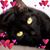 Lynne Branecki Buroccki's profile image