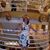 Paula Scialfo's profile image