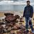 Orod Akhbari's profile image