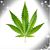 Matt Bremer's profile image