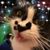 Kelly Ammons's profile image