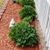 Melody Ownby's profile image
