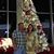 TomnCindy Conto's profile image