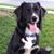 Tammy Neubauer Miller's profile image