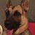 Beba EM's profile image