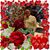 Hans Lenie Houwaart's profile image
