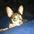 Sofia Monterrubio's profile image
