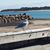 Muriel D'Antonio's profile image