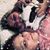 Shanna Norreh's profile image