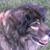 Bill Glessner's profile image