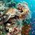Maureen Widder's profile image