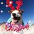 Katie Baker Wooten's profile image