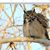 Margaret Elizabeth Vander Veer's profile image
