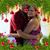 Sandra R Arndt's profile image