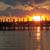 Michelle Calvanelli's profile image