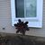 Nora Taylor's profile image