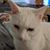 Tim Batey's profile image