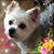 Lyn O'Mara's profile image