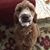 Shelley Gum Schulte's profile image