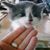 Jeanine Hetrick's profile image