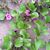 Lisa Loftin Hanbury's profile image