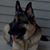 Angie Bale Strough's profile image