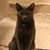 Andrea Simane Perry's profile image