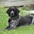 Linda Barber's profile image