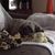 Shar Hekman's profile image