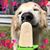 Katrina Haslow Vanek's profile image