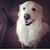 Maria Brunko's profile image