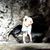 Mireya Carmody's profile image