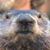 Kate Rudolph's profile image