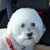 Shari Pinkerton's profile image