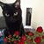 Donna Fiore's profile image