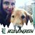 Shawna Peterson's profile image