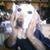 Paul Splett's profile image