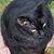 Peggy Cottrell's profile image