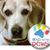 Gloria Ziolko's profile image